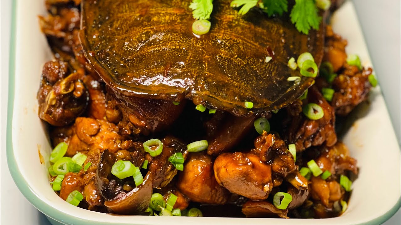 #霸王别姬Farewell My Concubine（红烧甲鱼鸡Braised Turtle Chicken）#家常菜谱Home Cooking