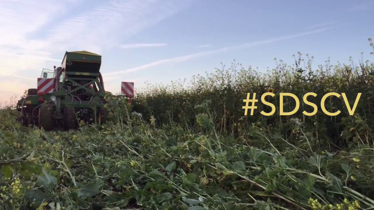 FARONVILLE - Semis Sous-Couvert de Blé au John Deere 750A