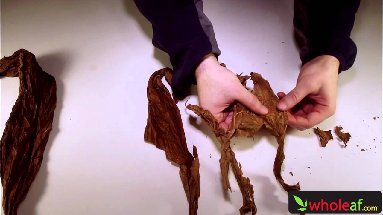 Whole Leaf Tobacco Handling & Storage Tutorial | Whole Leaf Tobacco How-To