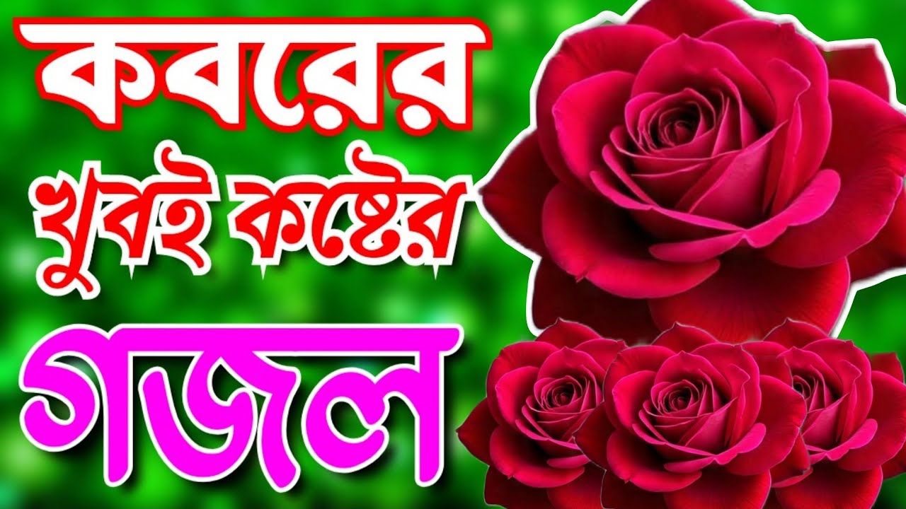 কবরের খুবই কষ্টের সেরা মায়াবী কন্ঠে ৫টি গজল।Islamic songs।Bangla Islamic Gojol।শেষ বিদায়ের রাতটি 