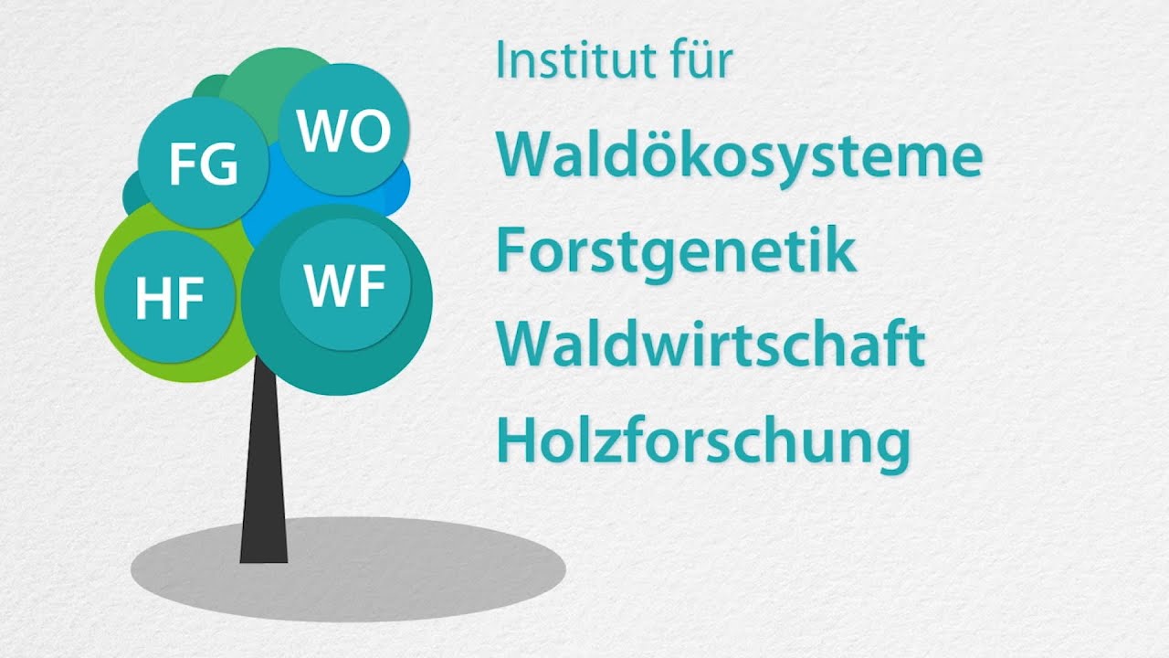 Die vier Th&uuml;nen-Waldinstitute