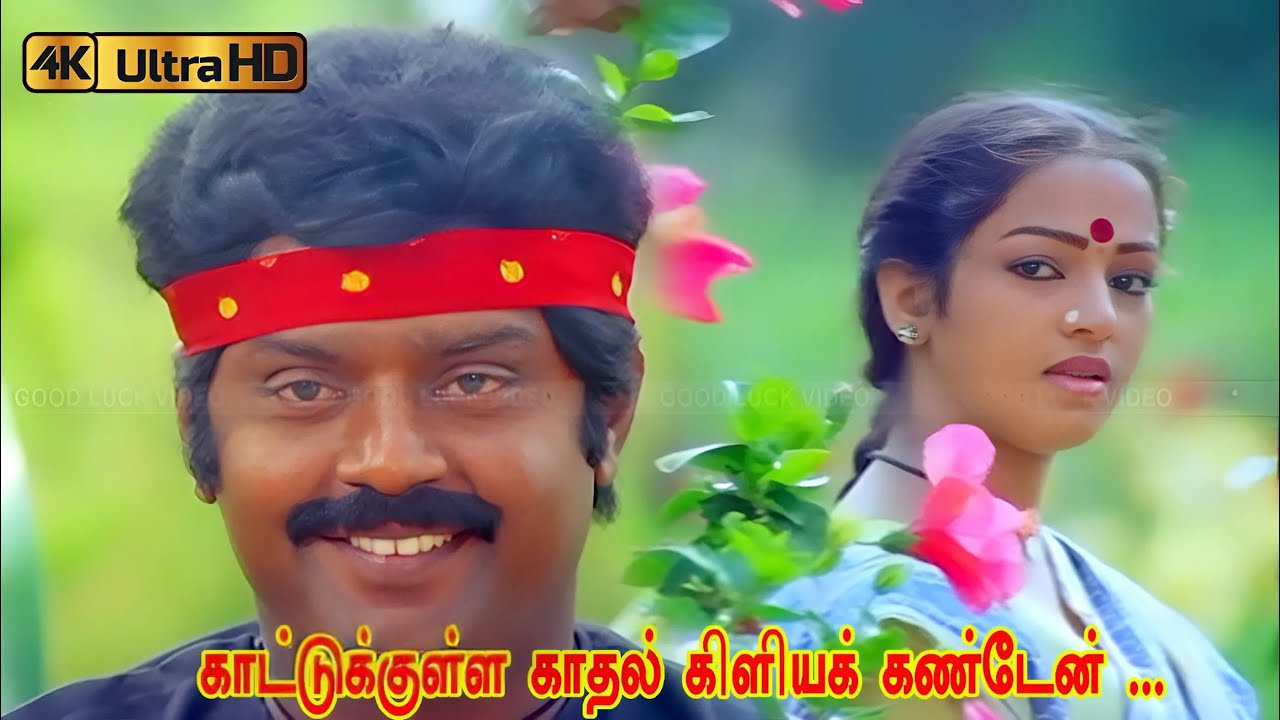 காட்டுக்குள்ள காதல் கிளியக் கண்டேன் பாடல் | Kattukulla Kadhal Kiliye song | S. Janaki | Vijayakanth