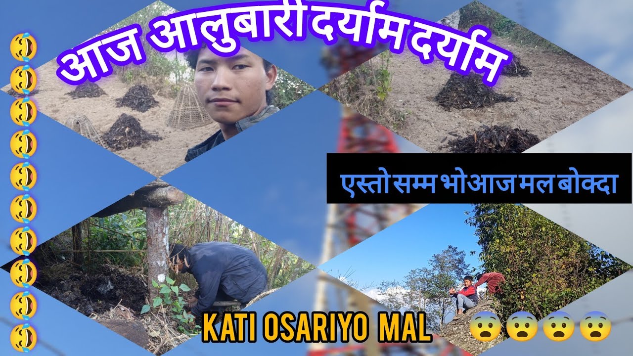 MAL OSARDAI || 😀😀 || आलु बारि दर्याम दर्याम | 💯💯 |ESTO SAMMA VO 💝 NEW VLOG @TNK.VLOGER #new #vlog