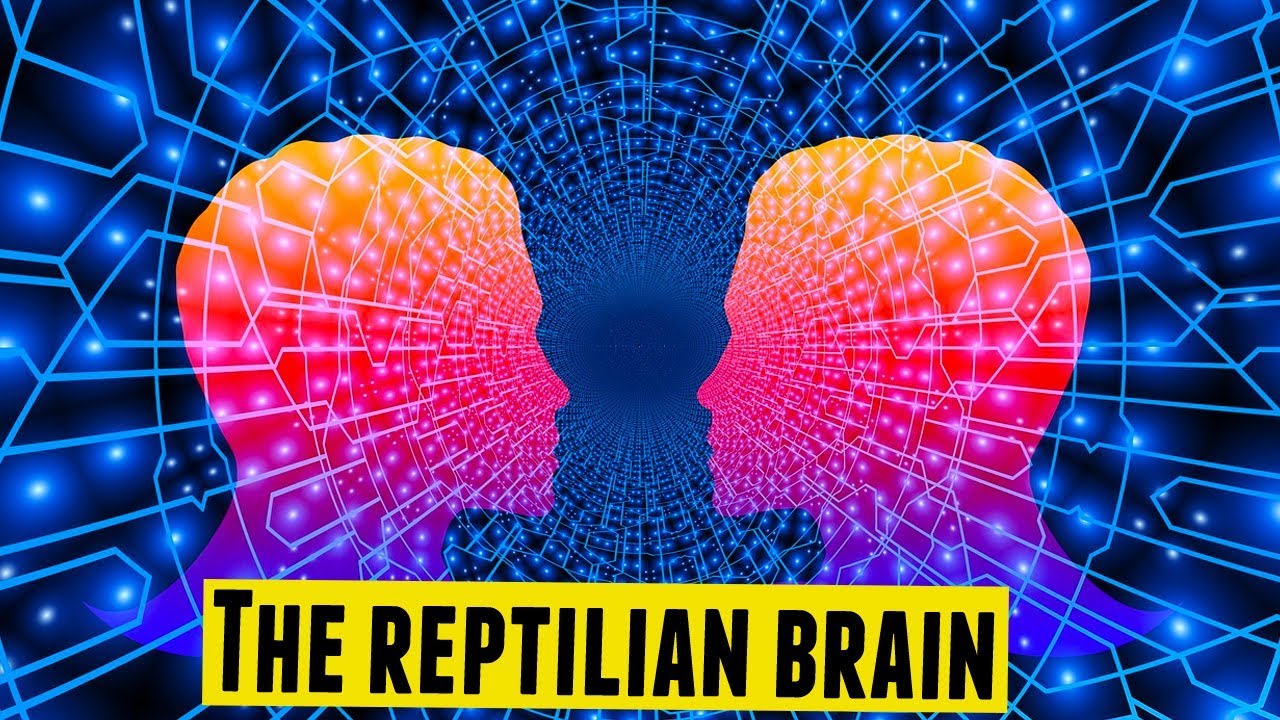 The Reptilian Brain