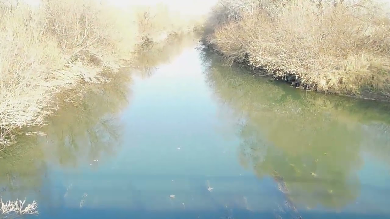 ОСЕНЬ