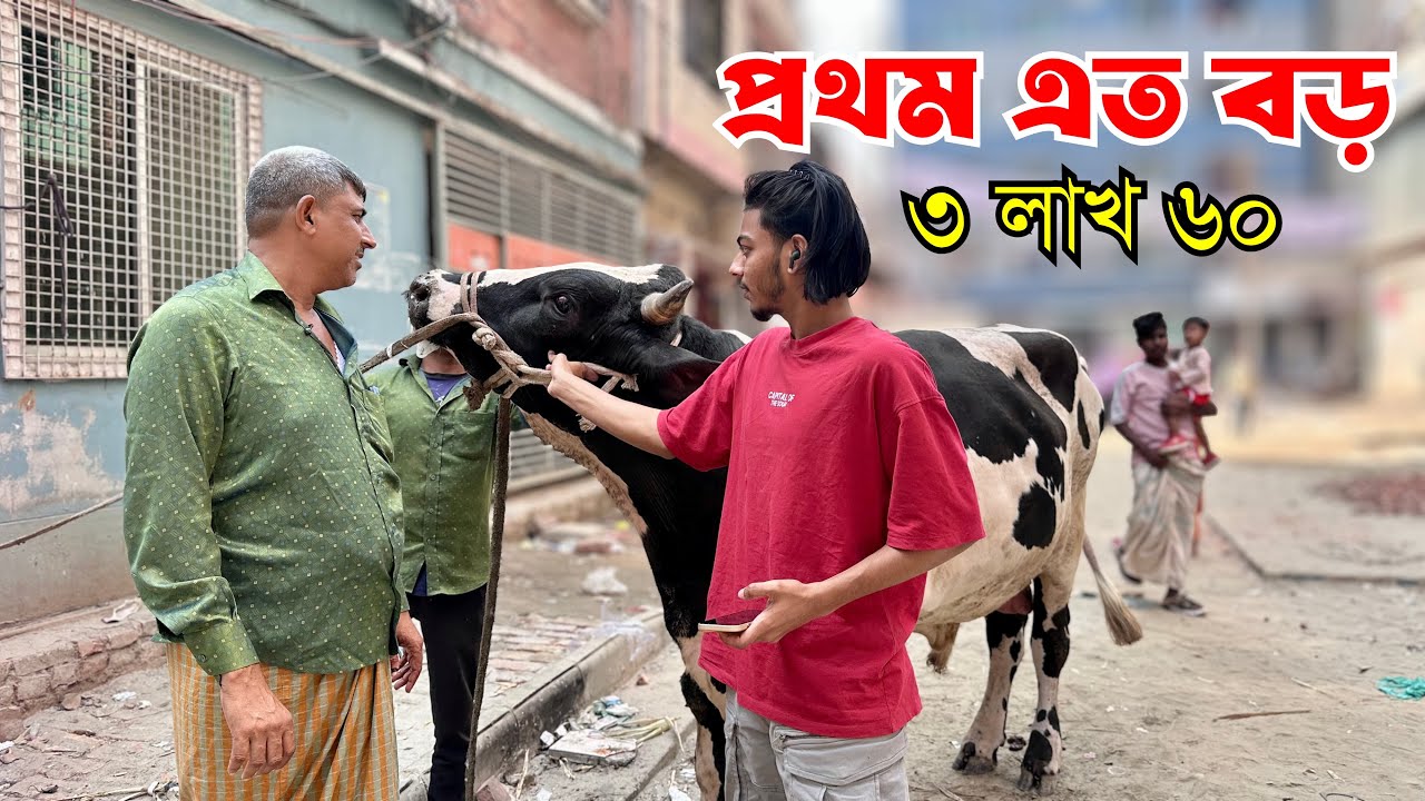 ৩ লাখ ৬০ হাজার টাকার অস্ট্রেলিয়ান গরু! ৬৫০ টাকা কেজি ঘোষণা | Mirpur 11 Beef Price Today