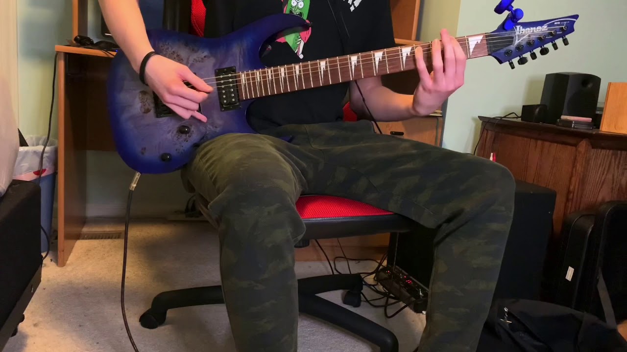 Dying Fetus - From Womb to Waste (Guitar Cover)