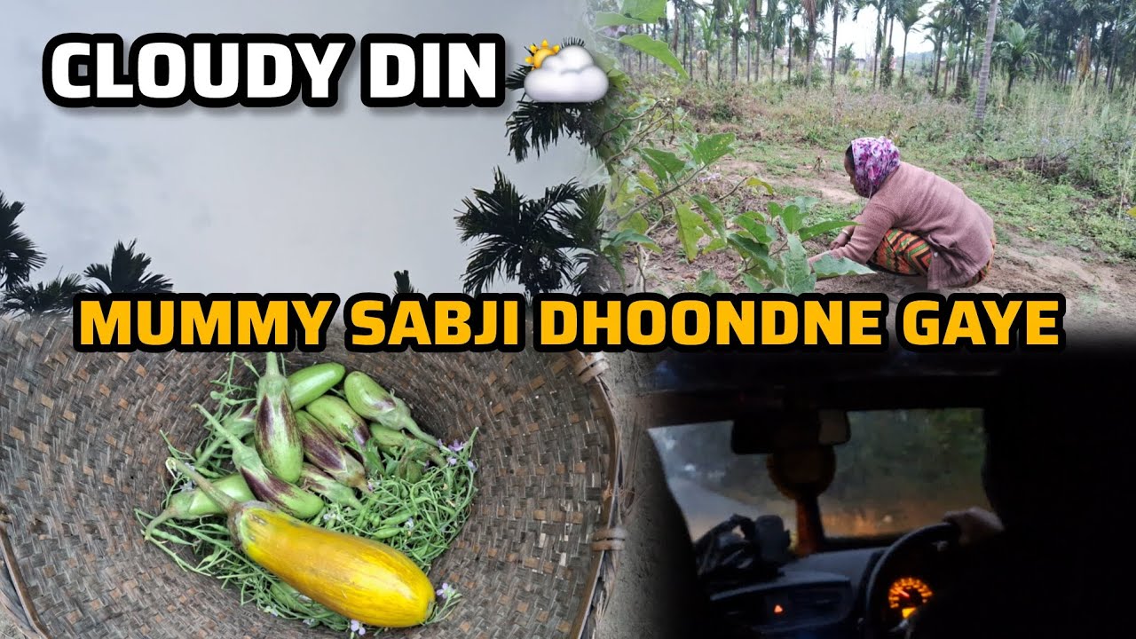 Din Bhar Cloudy Mausam 🌥️ | Mummy Sabji Dhoondne Gaye 🌿 | Shaam Ko Innao Ghumne Gaye 😍