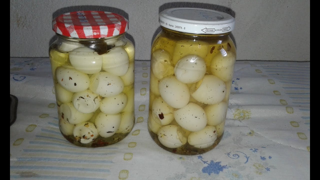 CONSERVA OVOS DE CODORNA