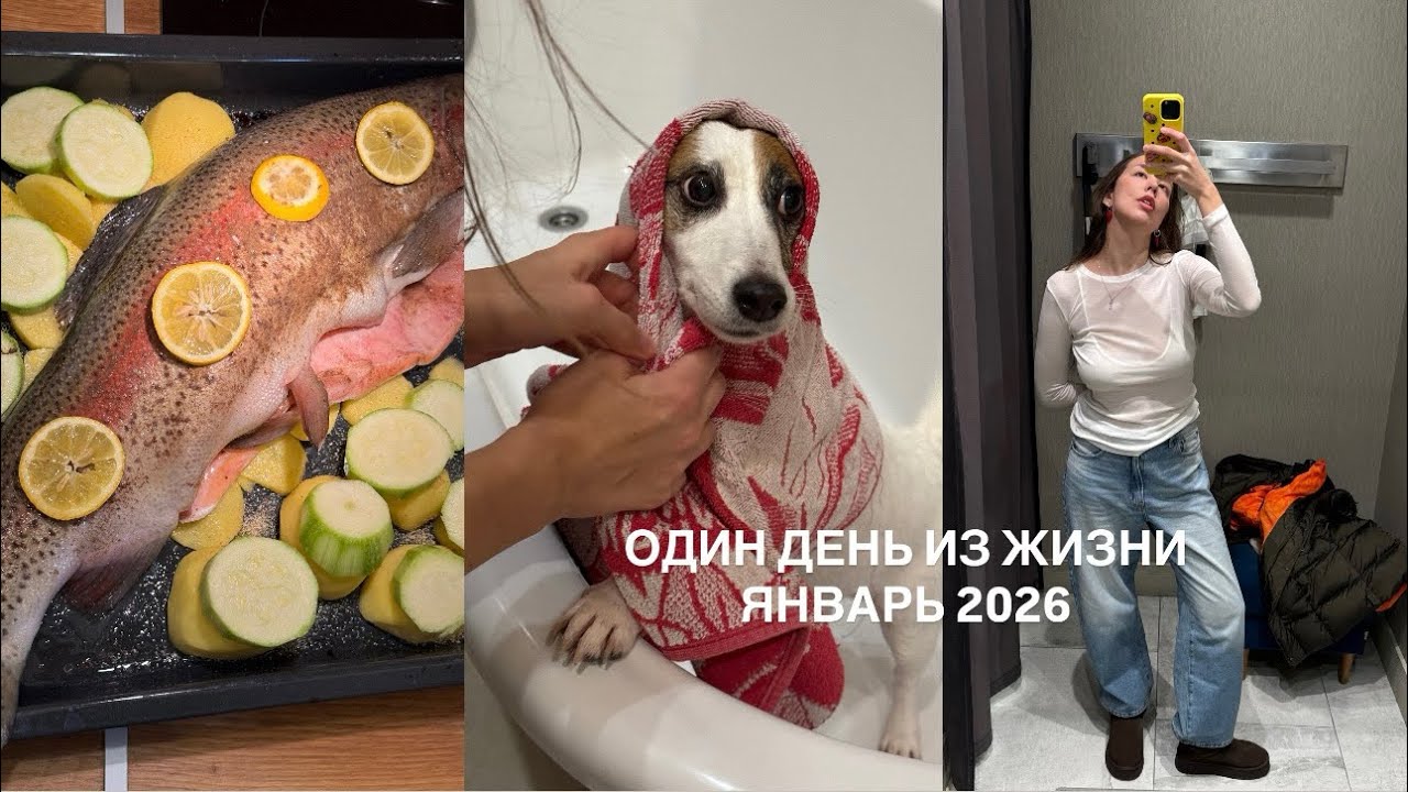 Один день из жизни! Влог, Москва, январь 2026. 