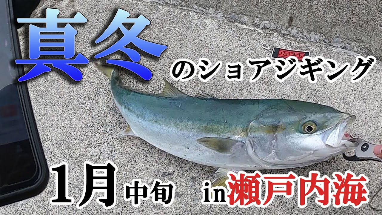 【瀬戸内海】 冬1月中旬のショアジギング釣行! セットアッパーは良いルアーです。　やっぱり冬は良型が出ます!