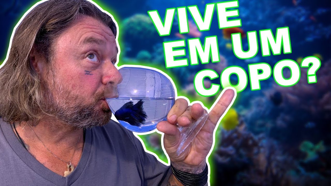A TRETA DOS BETTAS! | RICHARD RASMUSSEN