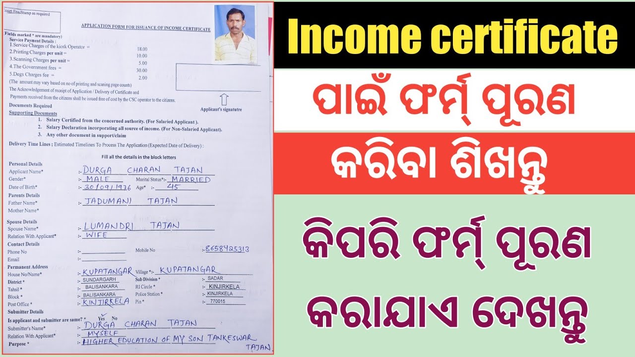 How to fill Income Certificate application form in Odia / how to fill Income Certificate form Odisha