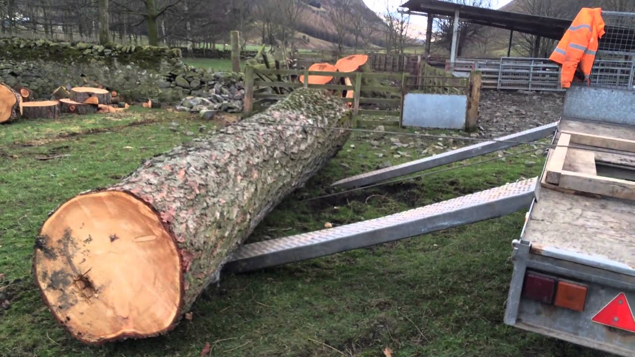 Crosshauling a Scottish Larch onto trailer with Land Rover and Tirfor winch