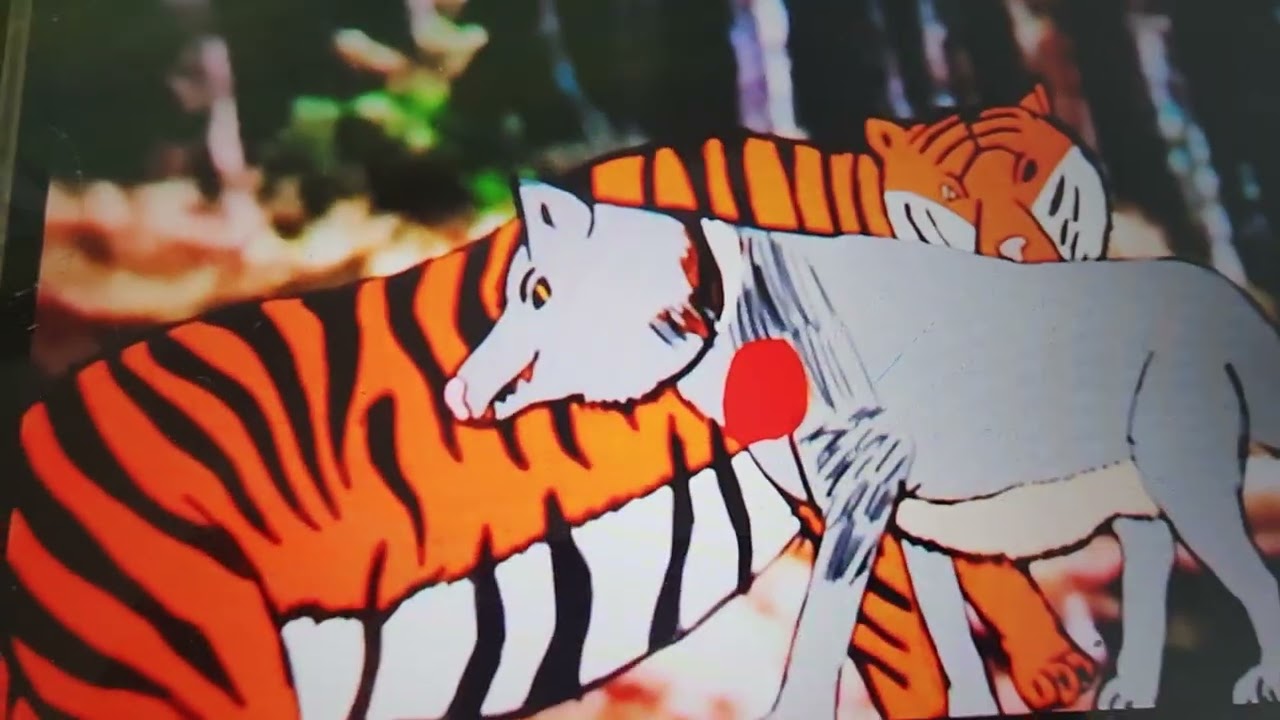 최강동물왕29화 시베리아호랑이vs회색늑대 스페셜배틀