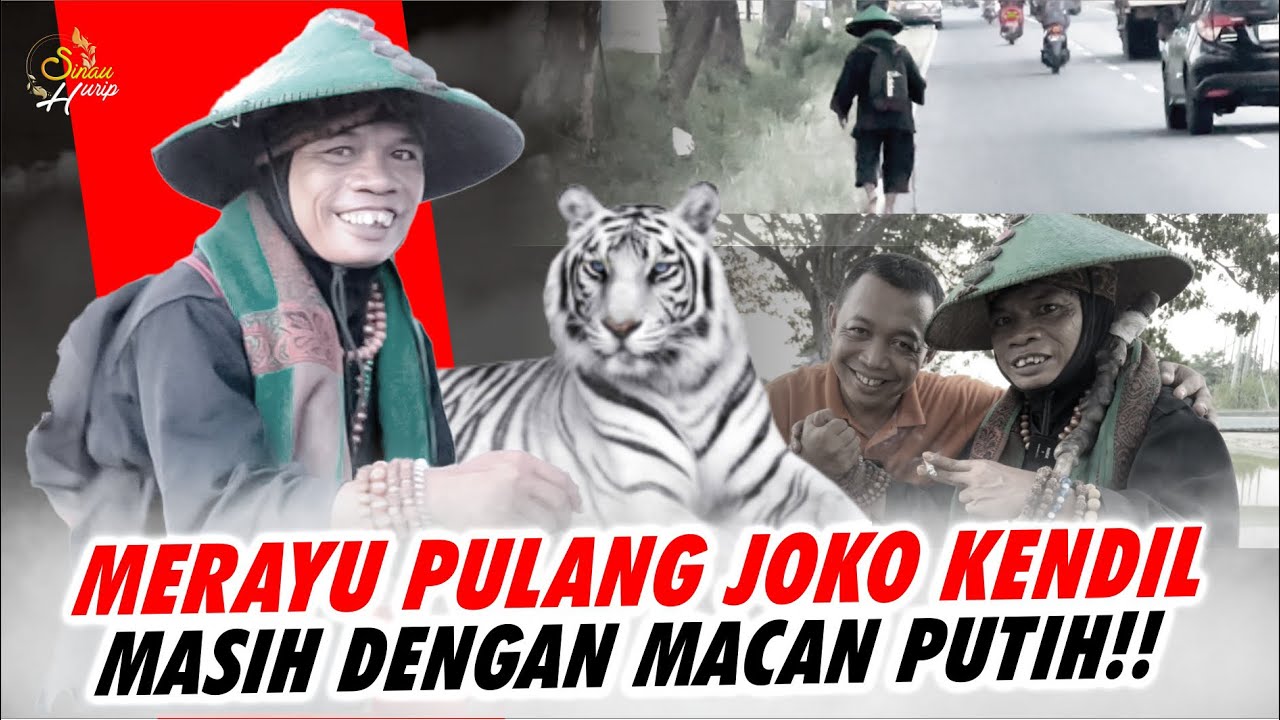 MERAYU JOKO KENDIL ❗️❗️”PULANG ya KANG, BAPAKMU KANGEN ❗️❗️MASIH SETIA ditemani MACAN PUTIH ❓❗️