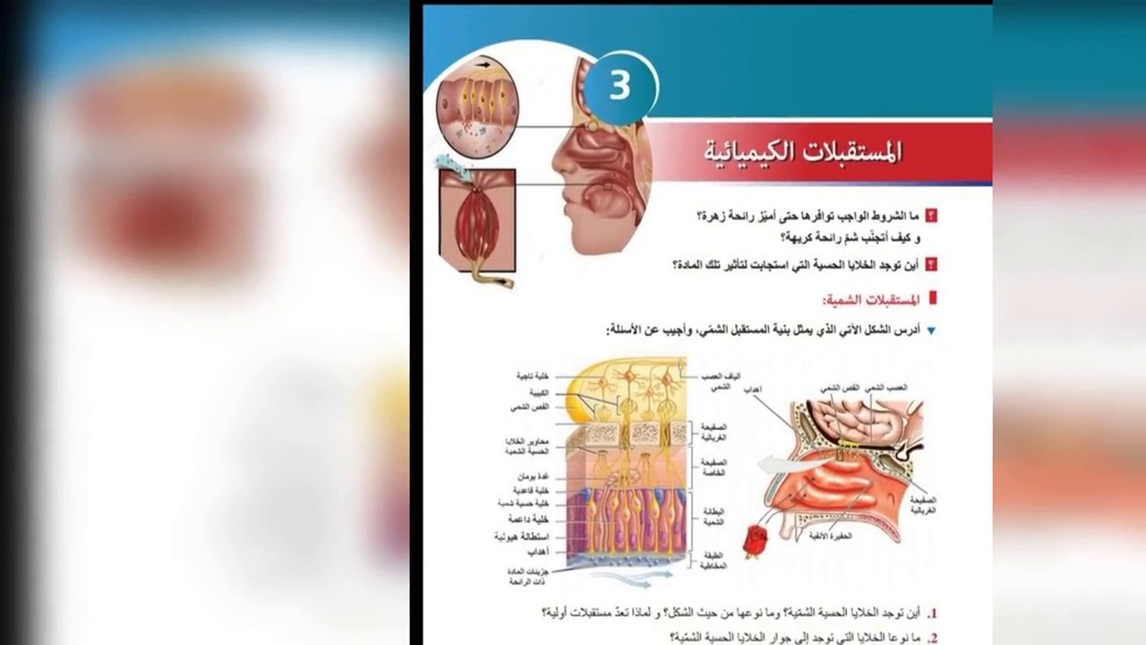 بكالوريا علوم المستقبلات الكيميائية 🧠💯