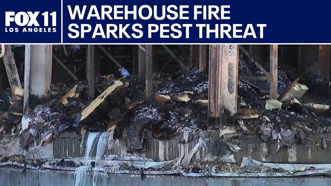 Rats, rotting food next threat for Boyle Heights after warehouse fire