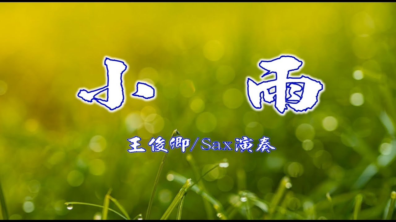 小雨(林玉英)/Alto Sax/俊卿 薩克斯風演奏