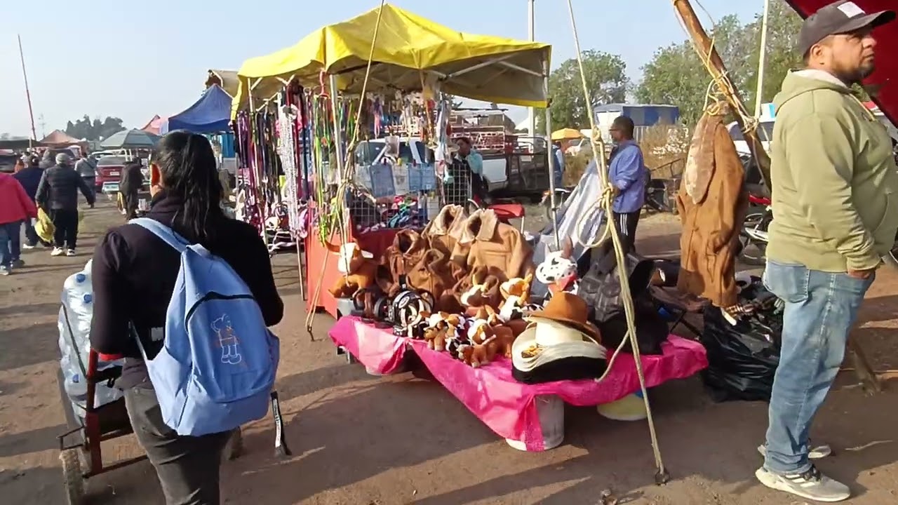 Tianguis de ganado Chalco estado de México 