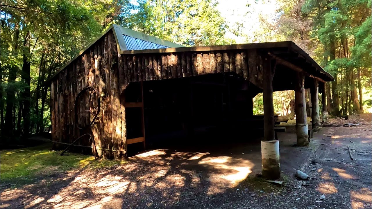 $1000 Dollar Hut (Wombat Coldstream Tarkine)