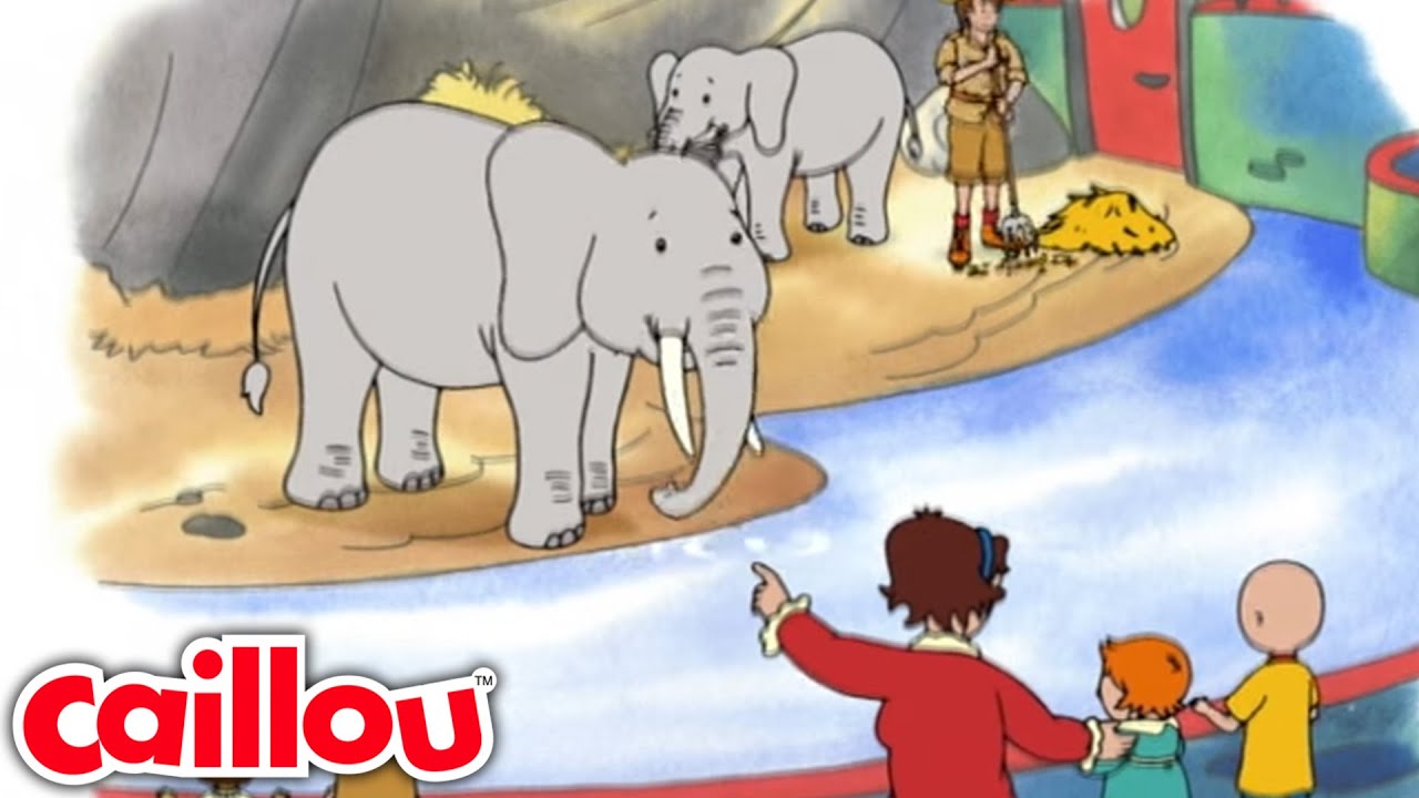 Dia en el zoologico | Caillou Español Castellano - WildBrain | Caricaturas para niños