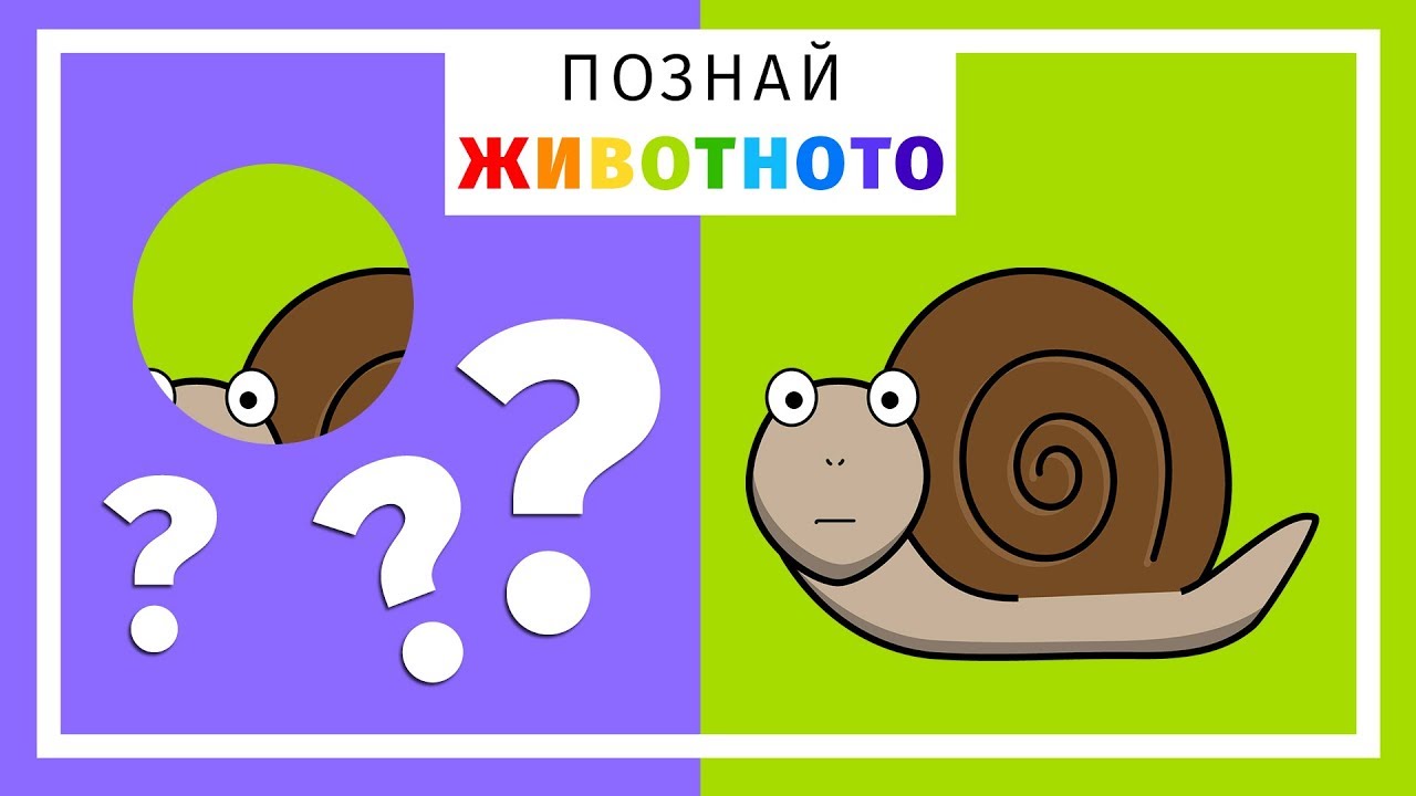 ПОЗНАЙ ЖИВОТНОТО (1) -  жираф 🦒, магаре 🐴, слон 🐘, кравичка 🐄, пчеличка 🐝...