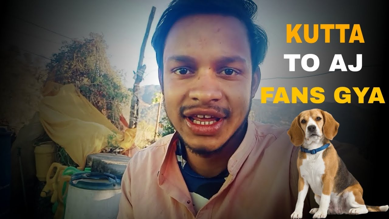 कुत्ता तो आज चारों तरफ से फंस गया | Pahadi Lifestyle Vlog | Daily Vlog