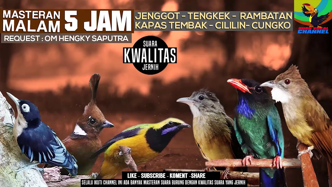 REQUEST MASTERING #28 SUARA JERNIH 5 JAM 6in1 RAMBATAN - Cililin - Cungko- KATEM - TENGKEK - JENGGOT