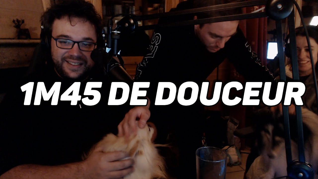 Petite pause caresses entre deux raids !