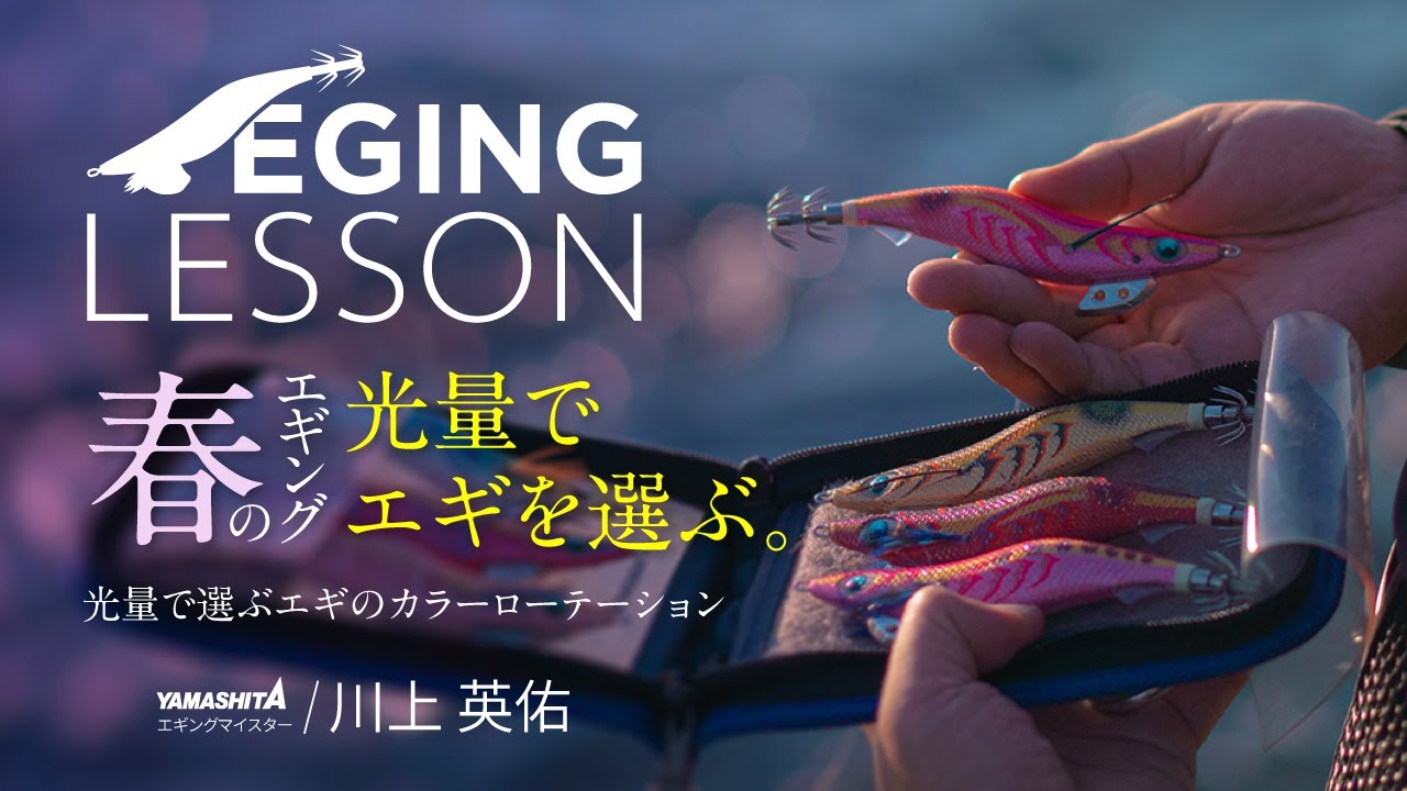 【春のエギング攻略】光量×カラーで釣果が伸びる！エギのカラーローテーション完全解説【エギングレッスン】