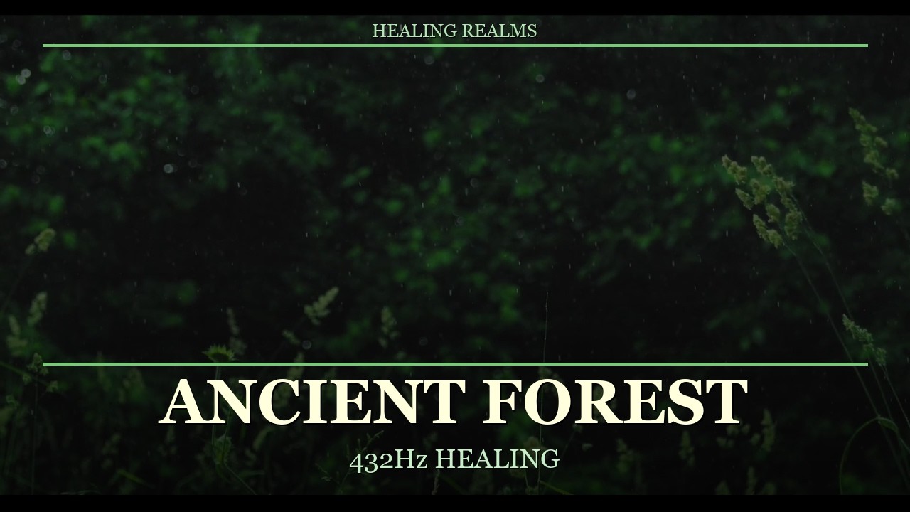 Ancient Forest Rain | 432Hz Healing Music | 3 Hours Deep Meditation