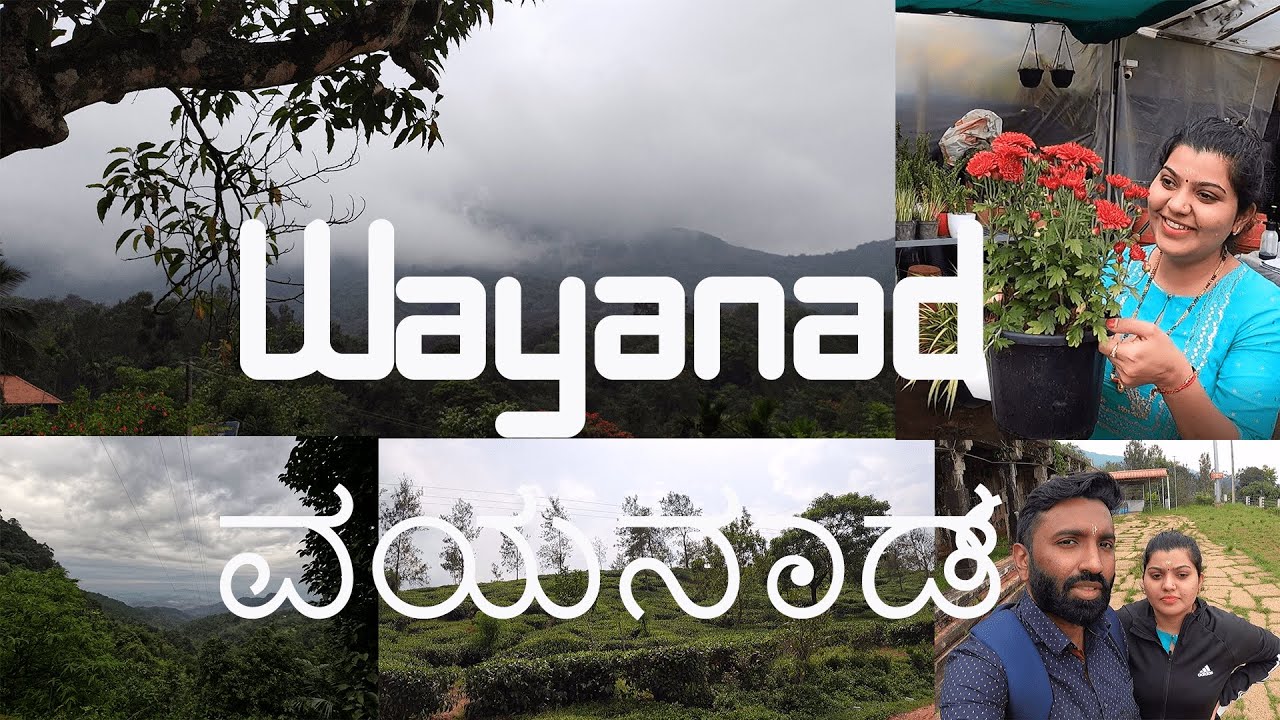 Thirunelli Temple Wayanad | Wayanad Tea | honey | Kannada Vlog | TwoStatesCouple by Sayouj & Sneha