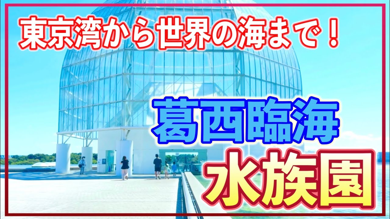 【葛西臨海水族園】東京から世界の海を巡る｜葛西臨海水族園に行ってみた！
