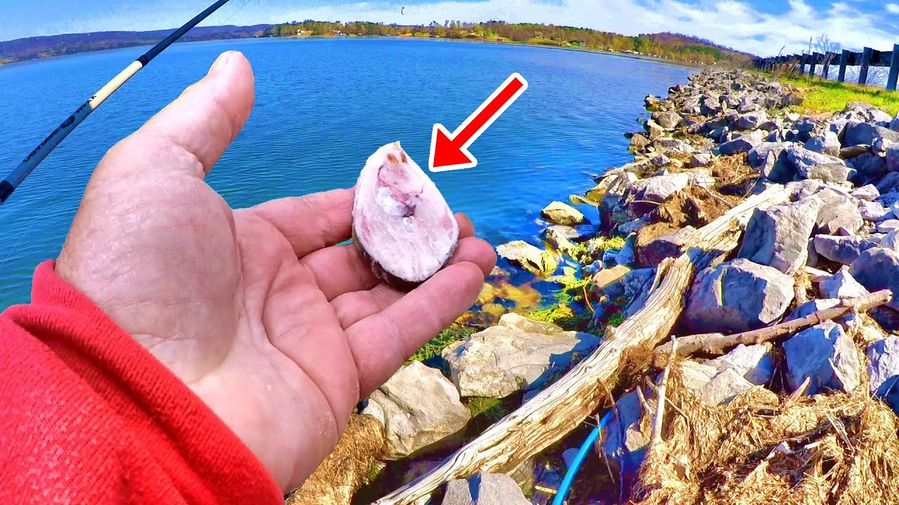 Simple & Easy! This Is All You Need To Catch Loads Of Catfish