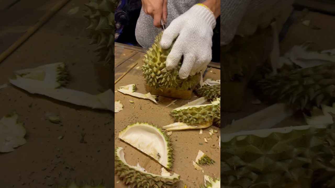 Durian is a Southeast Asian fruit that's most popular in 🇹🇭 #bangkok #travelvlog #thailand