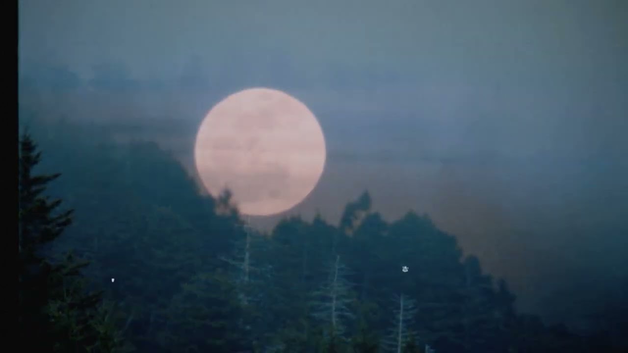 Phil Cook - I Made A Lovers Prayer