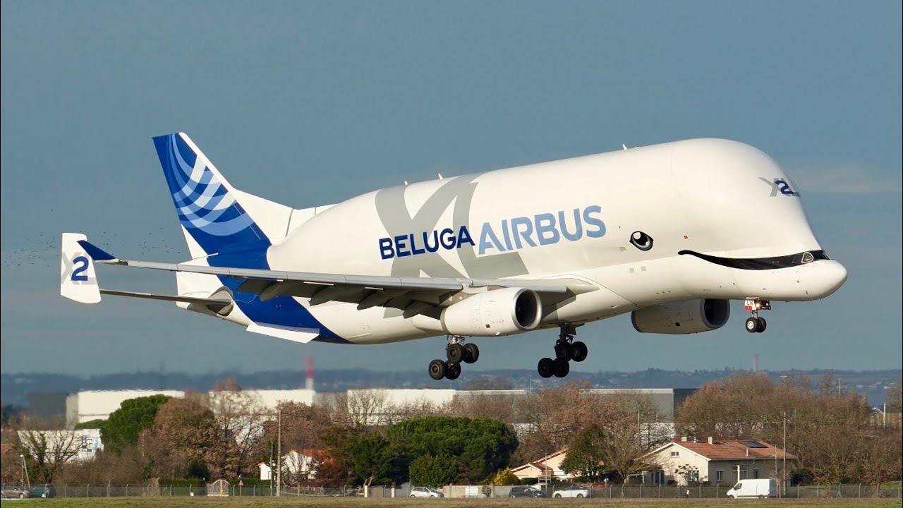 Beluga XL2 Landing & Takeoff at Toulouse Airbus Factory