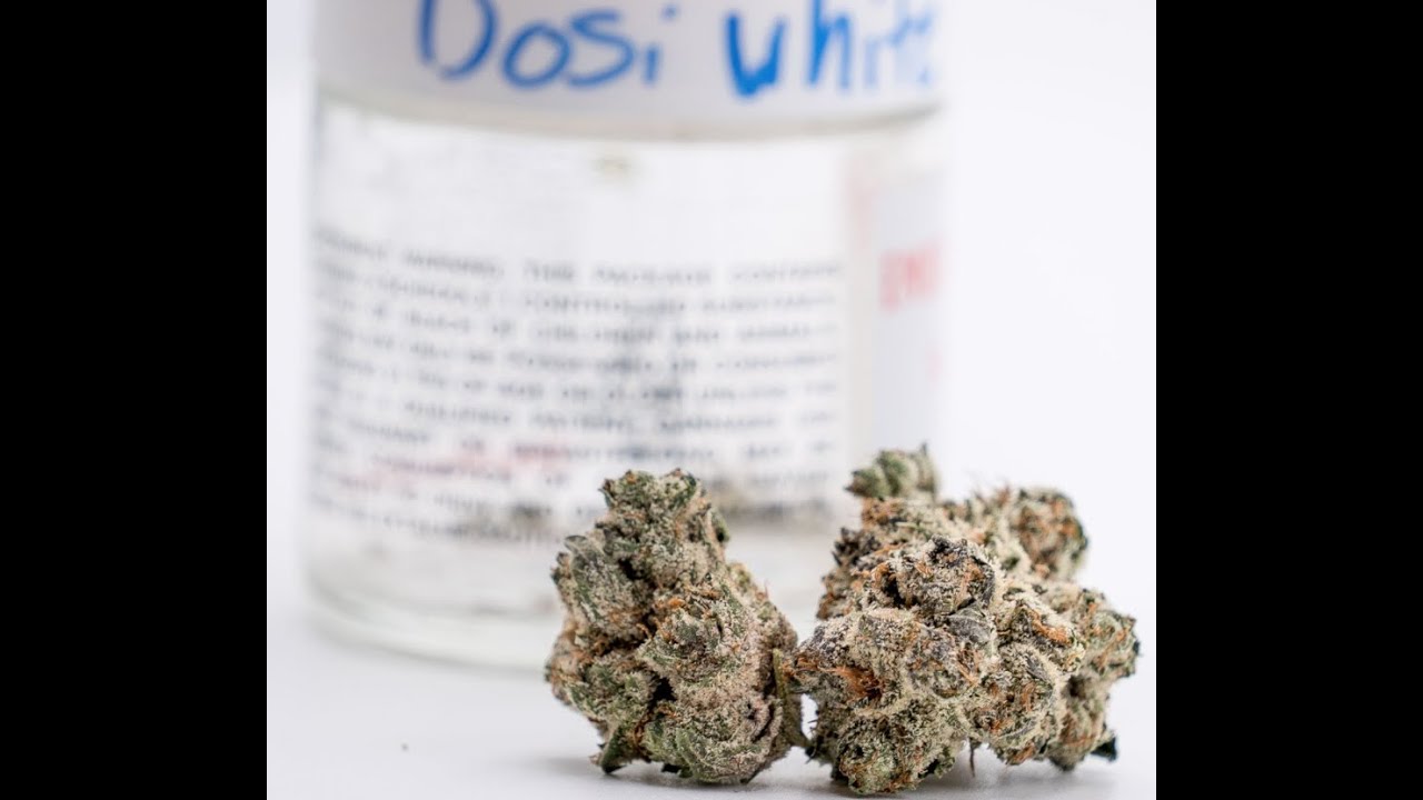 Dosi White Strain Review Featuring Ember Valley In California