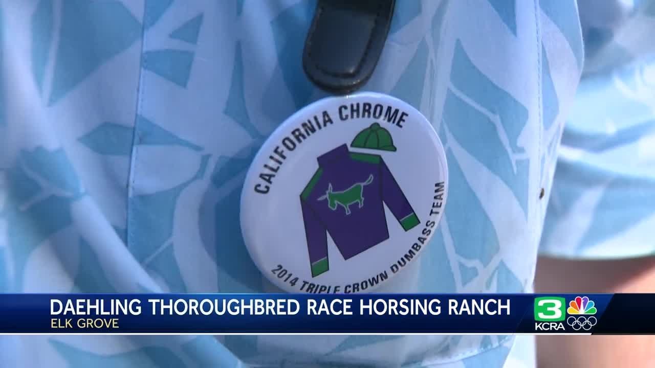 Sport of horse racing passes hurdles to stay in Northern California
