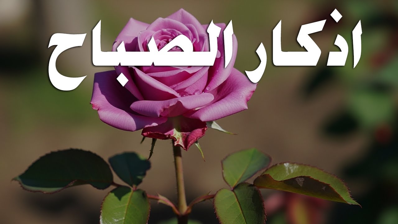 اذكار الصباح بصوت يريح قلبك راحه نفسيه💚حصن نفسك وبيتك من الشيطان علاء عقل Morning adhkar