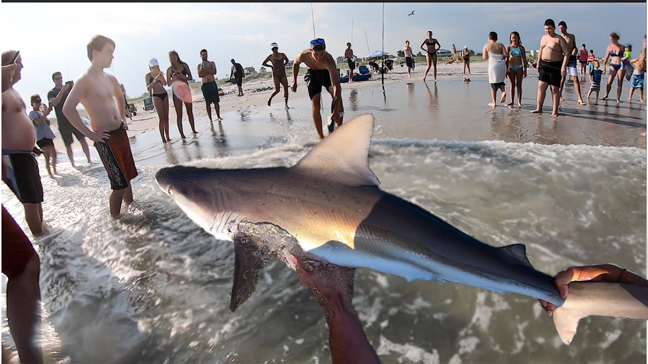 Surf Fishing for Sharks off the Swimming Beach **PEOPLE WERE SHOCKED** (Atlantic City, Nj)