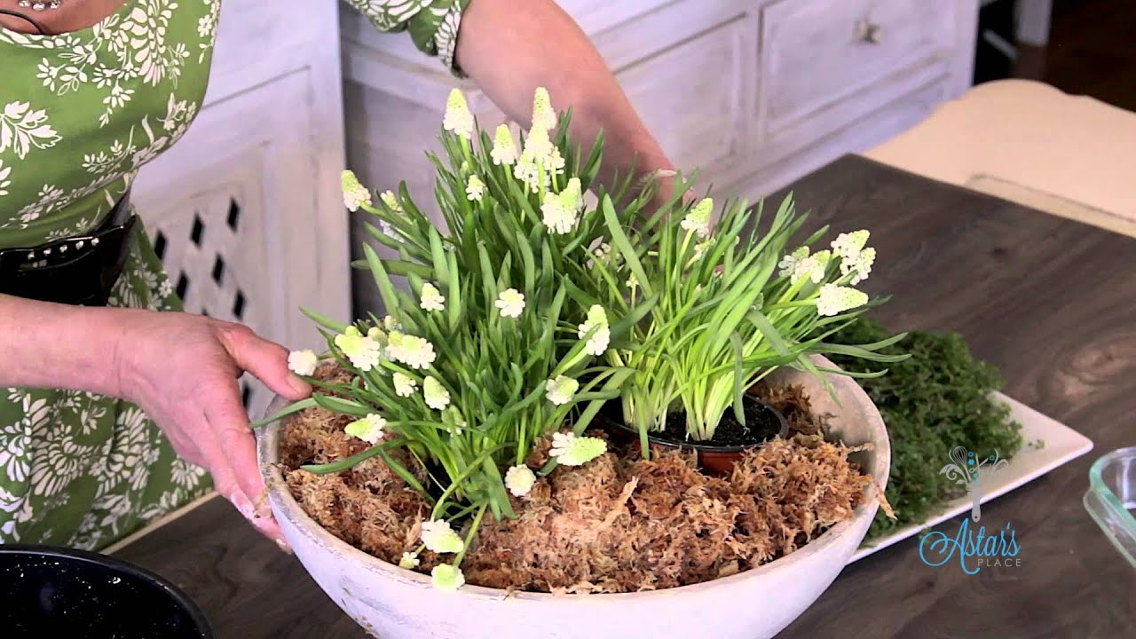 Floristry Tutorial: Spring Flowers Urn Arrangement