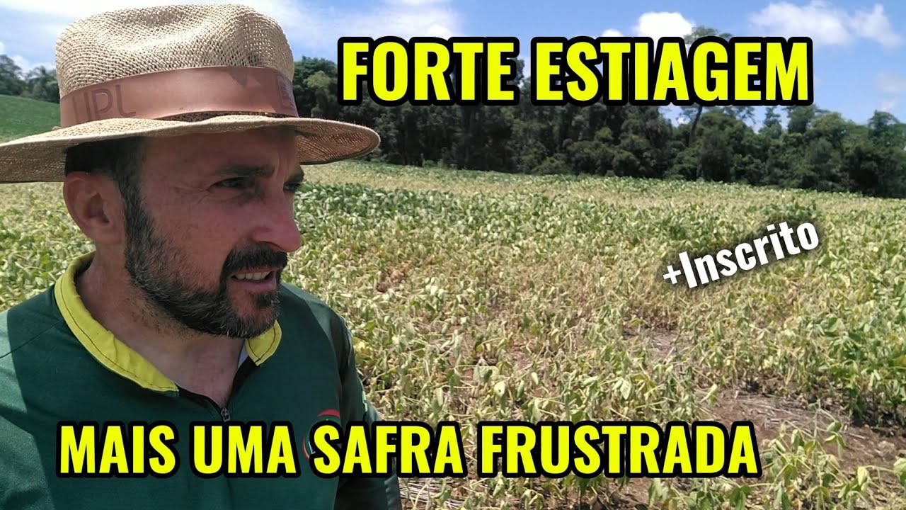 🌱SAFRA 25/26: MAIS UMA FORTE ESTIAGEM COMPROMETENDO A SAFRA