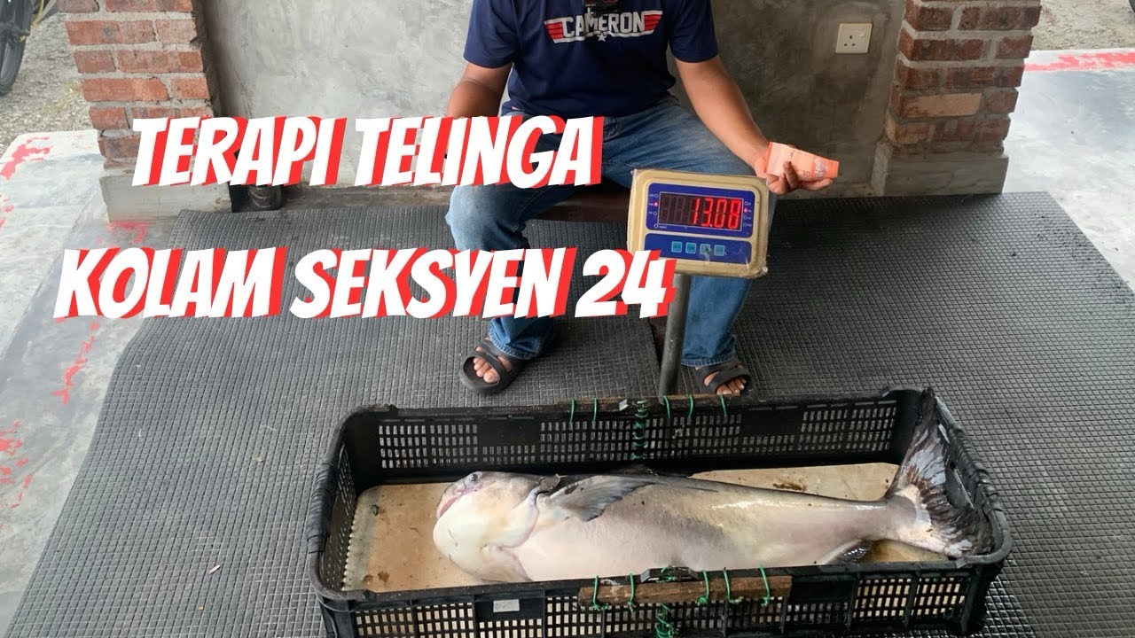 Cair Tahi Telinga Tengok Video Ni, Kolam Seksyen 24, Tak Kumpau