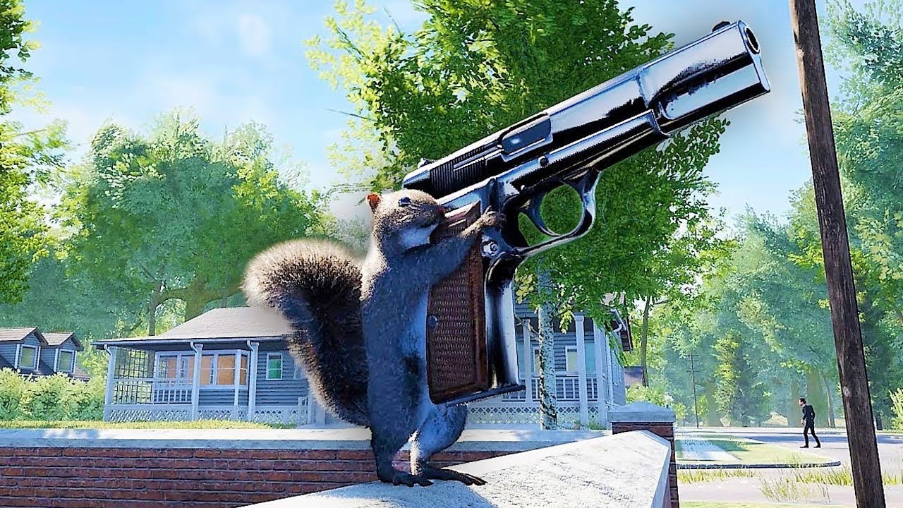Quando uno SCOIATTOLO incontra un'ARMA