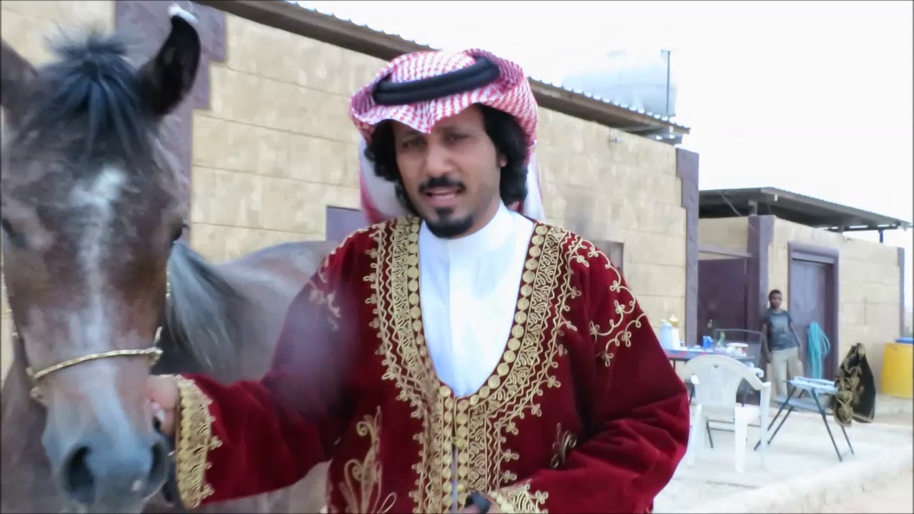 قصص من تاريخ الخيول العربية حسان الجهني عبيد العوني  Arabian Horse
