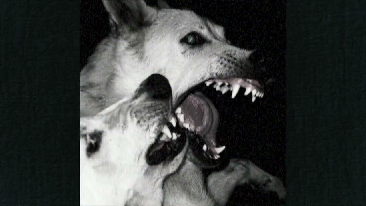 free) hardcore punk x metal x alternative rock type beat - 