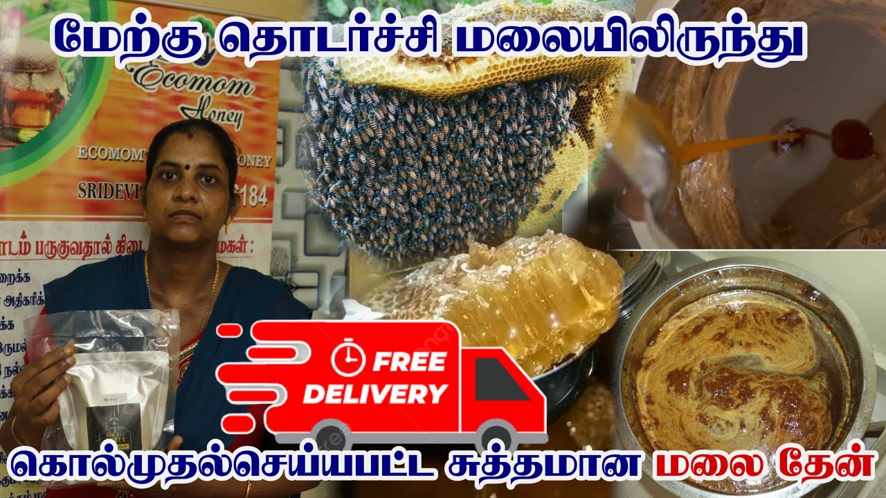 மகரந்தம் நீக்கப்படாத சுத்தமான மலை தேன் | Original Hill Honey With Free Delivery | Original Honey
