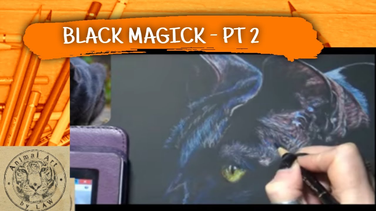Black Fur on Black Paper Colored Pencil Tutorial - Black Cat Part 2